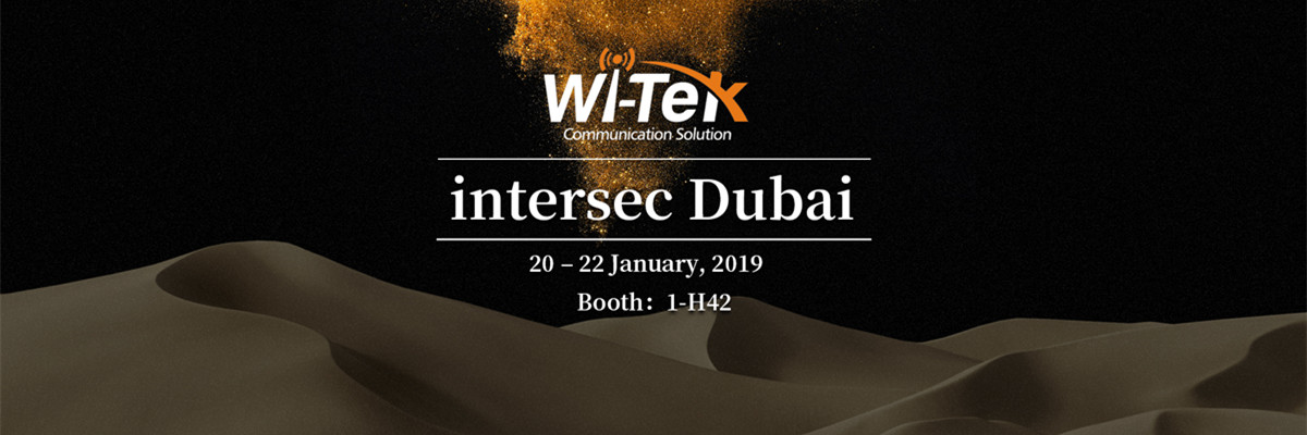 Wi-Tek&Intersec is ended with big success